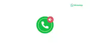20250409_Fitur-Mute-Whatsapp.jpg