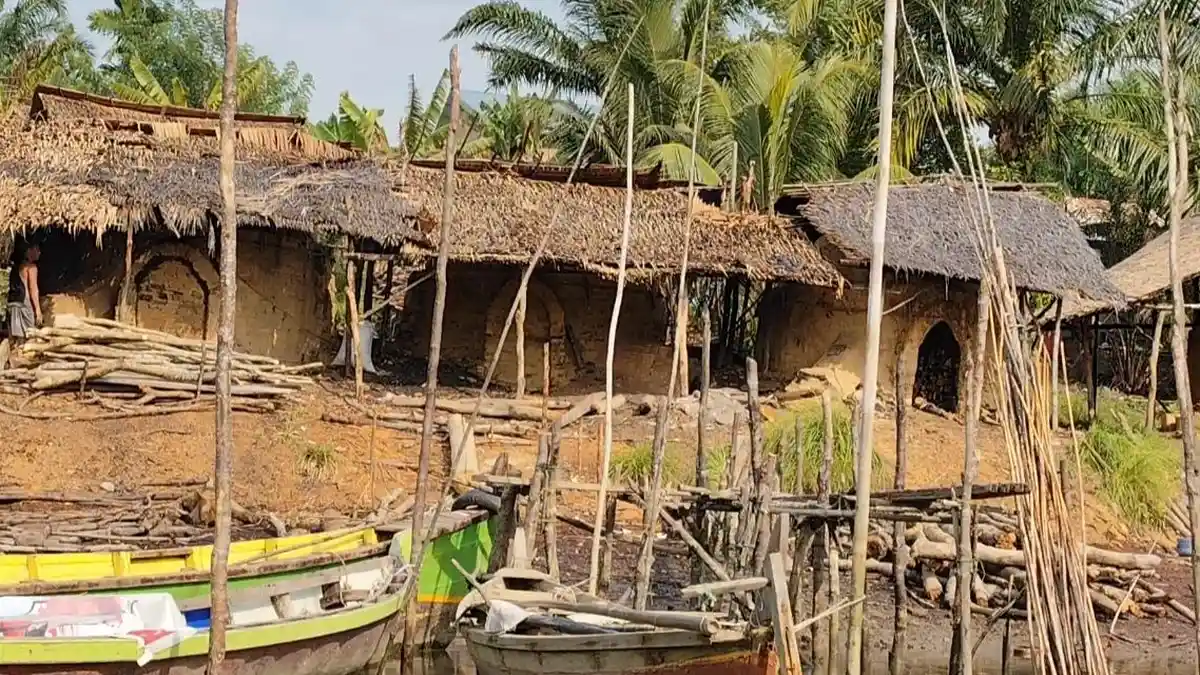 Dapur Arang Mangrove Beroperasi di Langkat, Padahal Sudah Ribuan Hektare Hutan Mangrove Rusak