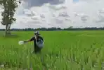 Petani-Lampung-Tengah-mulai-rasakan-kemudahan-tebus-pupuk-subsidi.jpg