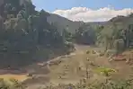 Akibat Tambang Emas Ilegal, Hutan Kilo 80 Nabire Jadi Sekarat