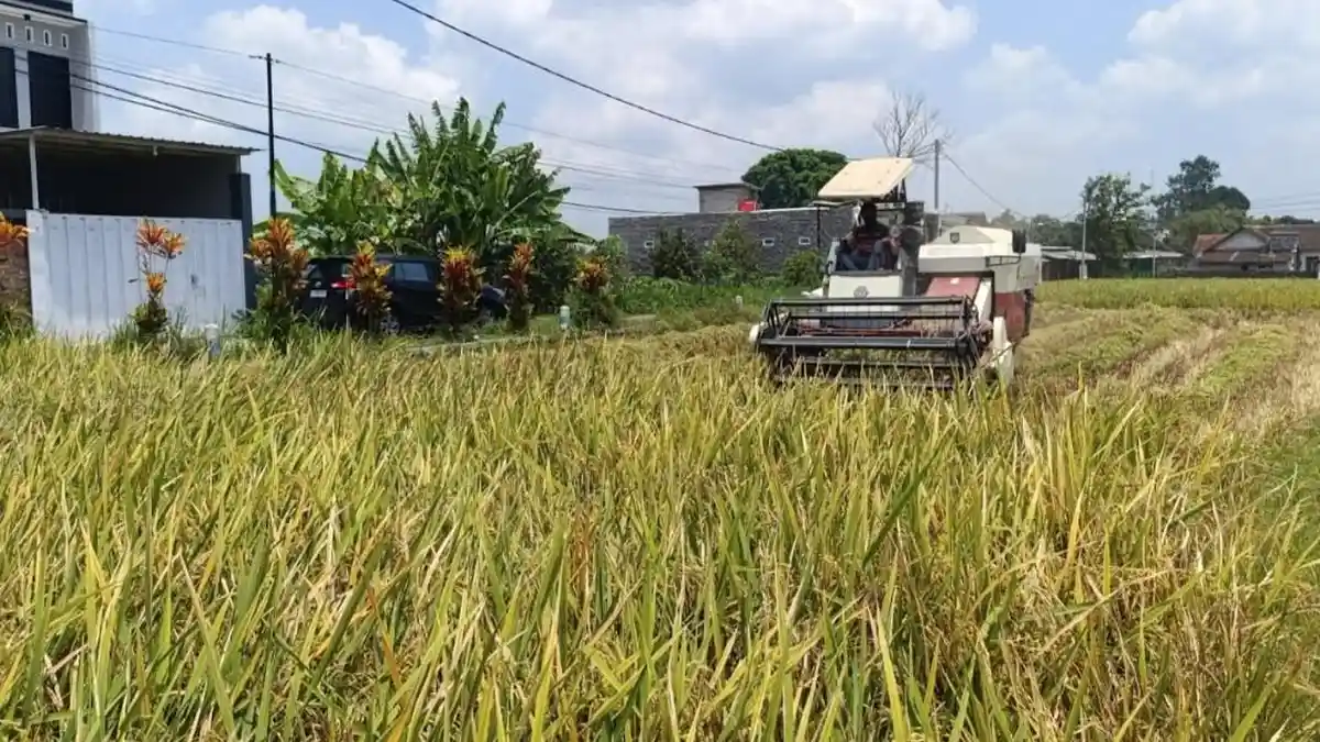 Pemkot Blitar Usulkan Ranperda LP2B untuk Lindungi Lahan Persawahan agar Tak Beralih Fungsi