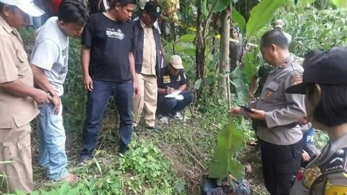 Pencari Rumput Temukan Mayat Pria Penuh Luka di Kebun Jagung, Begini Kondisinya