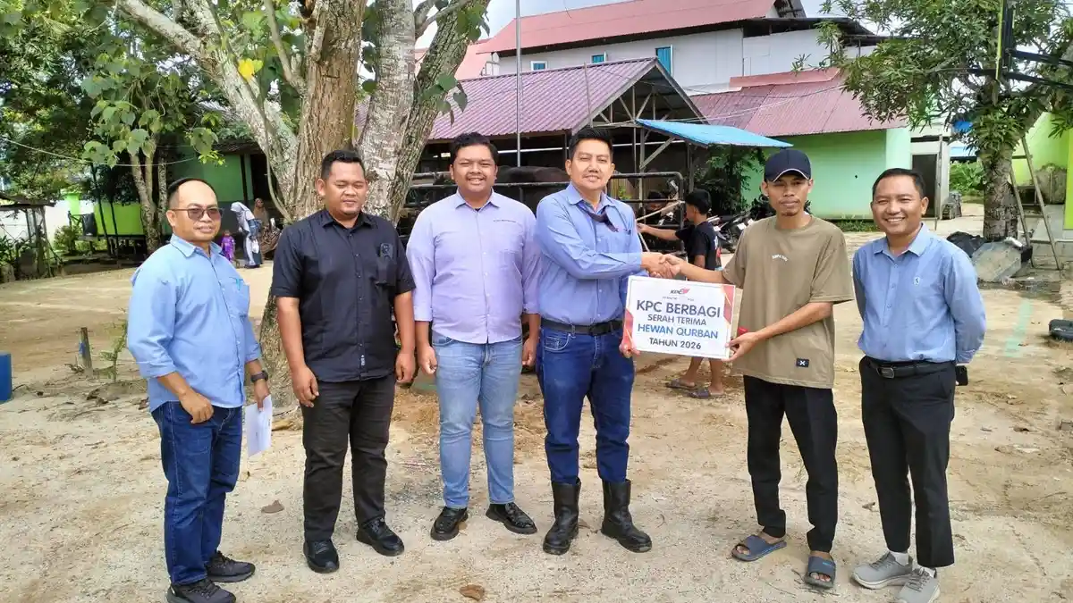 Idul Adha di Kutai Timur, KPC Salurkan 65 Sapi Kurban ke Masyarakat