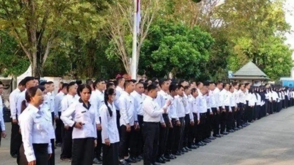 Cara Daftar PPPK 2024 Tahap 2, Resmi Dibuka Hari Ini, Cek Jadwal Lengkapnya