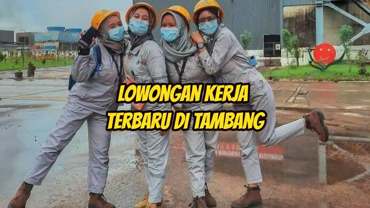 PT BUMA Buka Lowongan Kerja Tambang 2024, Dicari Banyak Lulusan S1 Berbagai Jurusan