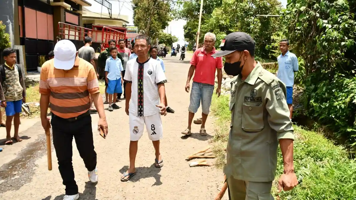Satgas Rabies di Manggarai NTT Eliminasi 8 Anjing, 1 Terbukti Positif