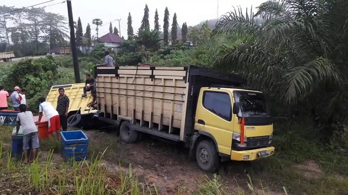 Truk Terperosok ke Jurang, Sebagian Muatan Ikan Dibagikan kepada Warga