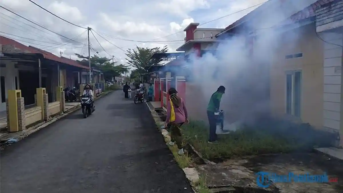 Dinkes Pontianak Gencar Sosialisasi Cegah DBD Tahun 2024, Ini Imbauan Saptiko