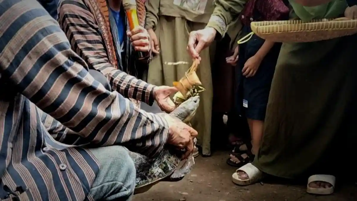 Cerita di Balik Tradisi Bulusan di Hadipolo Kudus, Dipercaya Bermula dari Sabda Sunan Muria