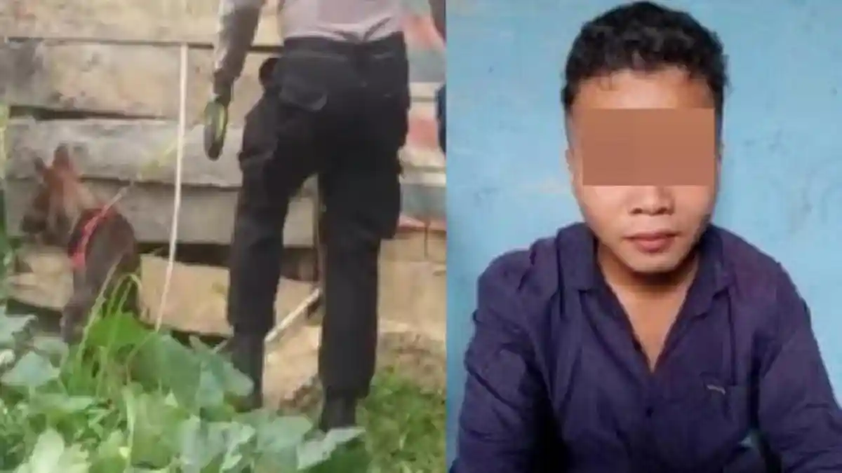 Teganya Pria Ini Bunuh Bocah Usia 4 Tahun, Jasad Dimasukkan ke Koper Disimpan di Almari