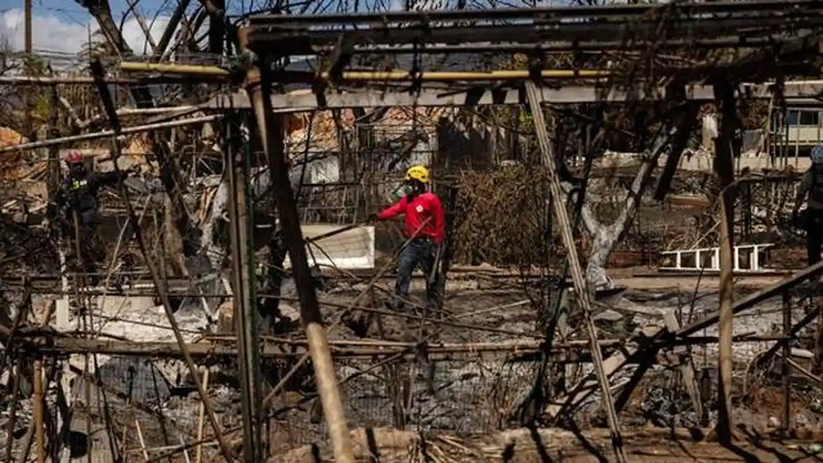 Badai Dora - Korban Tewas Kebakaran Hutan Maui Jadi 114, Pencarian Berlanjut