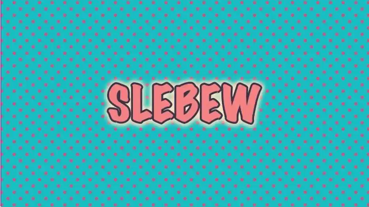 Arti Slebew yang Lagi Trending? Bahasa Gaul TikTok yang Sering Diucapkan Jeje 'Citayam Fashion Week'