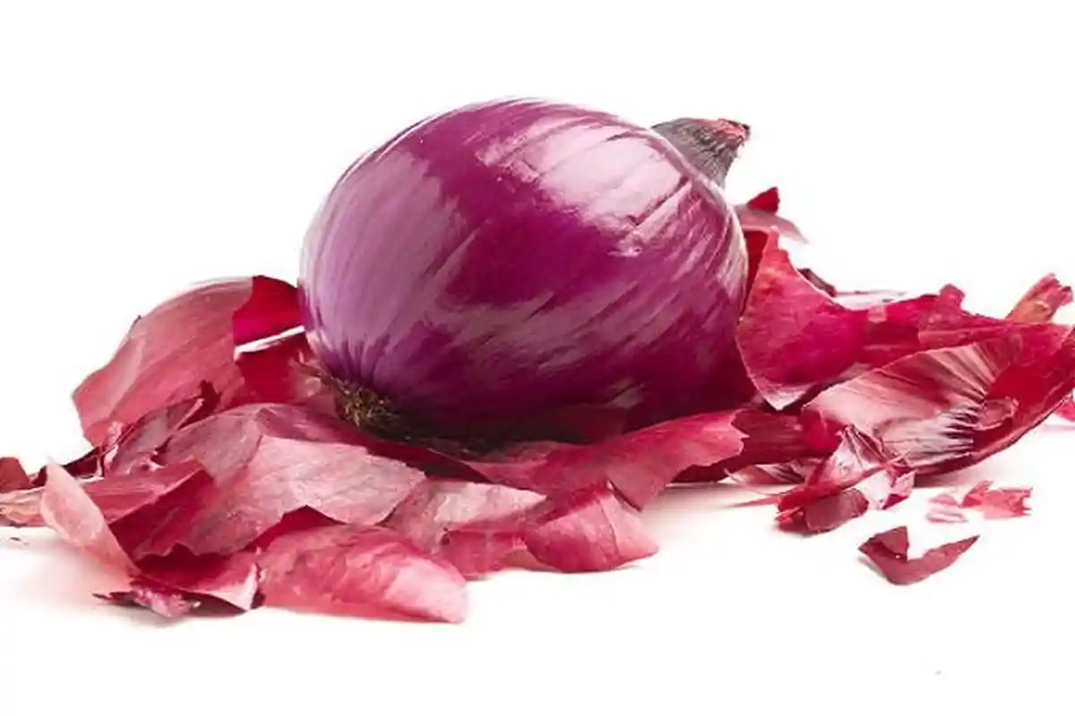 Tips Berkebun: Tutorial Menanam Bawang Merah Tanpa Bibit, Mudah Dilakukan di Rumah dengan Pot