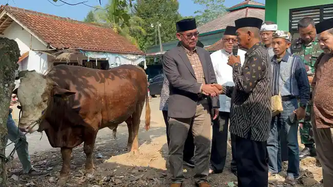 Tribun