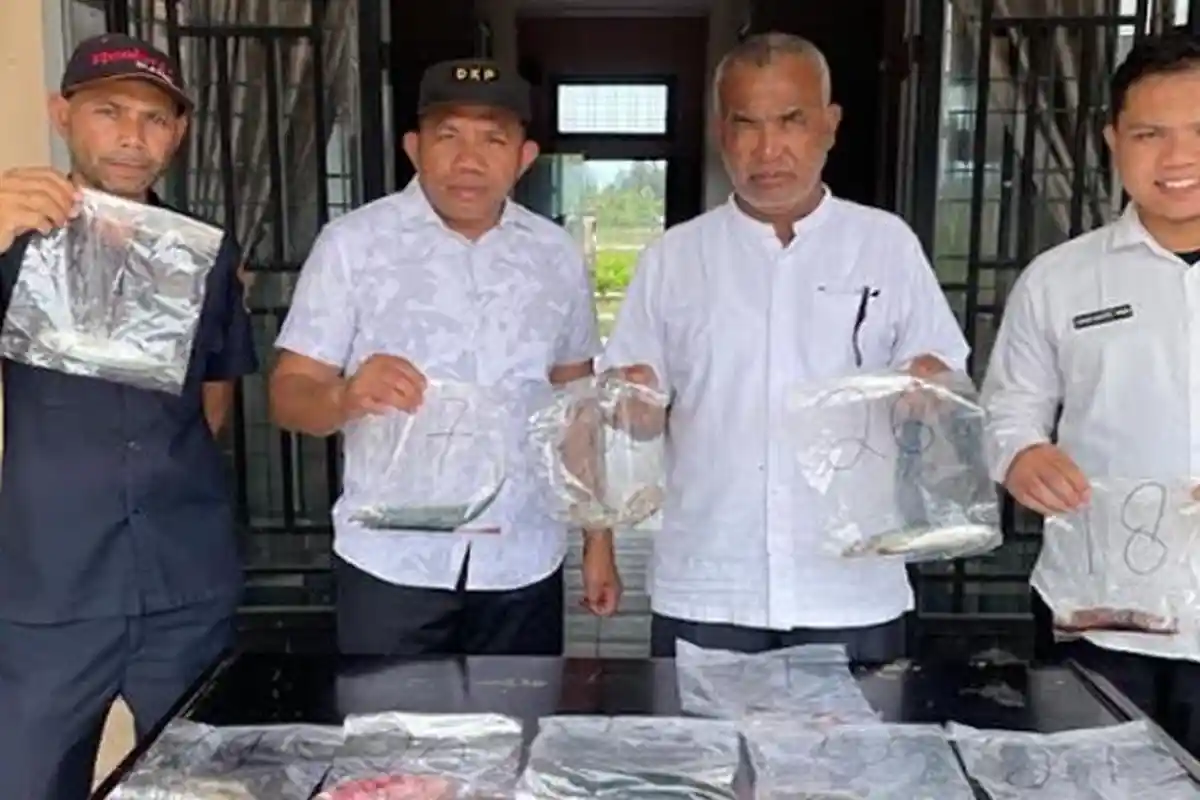Cek Kadar Formalin, DKP Pidie Jaya Ambil 30 Sampel Ikan di Delapan Kecamatan