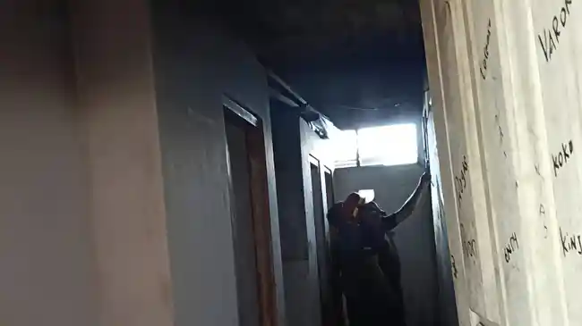 Tribun