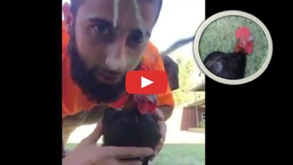 Pria Ini Baca Ayat Al Quran Pada Ayam, Sesuatu Menakjubkan Terjadi dan Buat Banyak Orang Terkejut