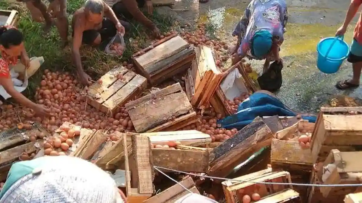 Warga Kembalikan 30 Kg Telur Hasil Jarahan dari Kecelakaan Pikap di Purbalingga, Sebagian Transfer - Tribunnews.com