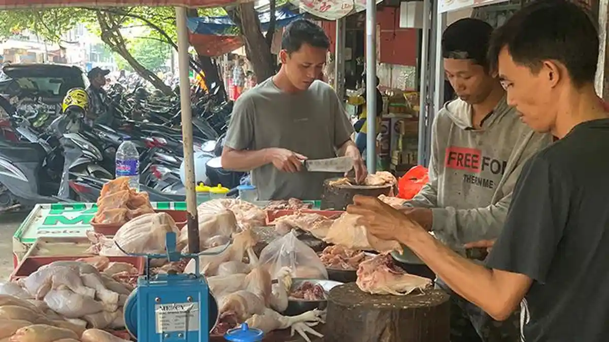 Kebutuhan Daging Ayam di Lampung Selama Ramadan Diprediksi Capai 7.186 Ton