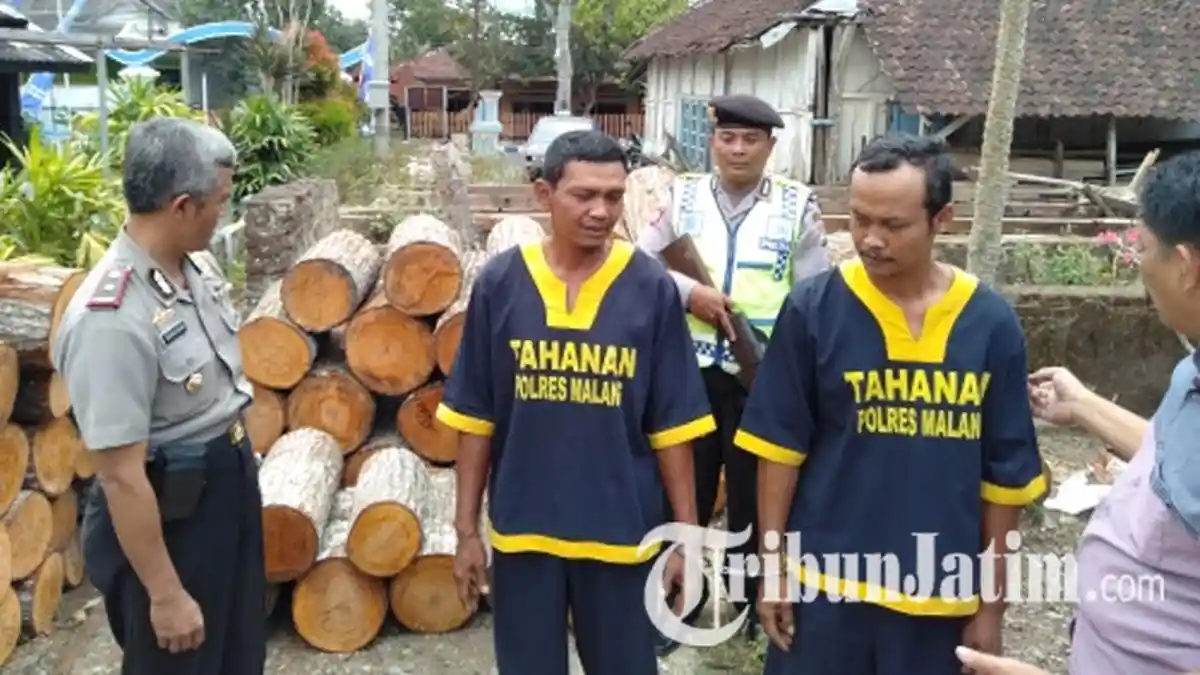 Mengaku Terhimpit Kebutuhan Ekonomi, 2 Pria Asal Malang Nekat Curi Kayu Roboh di Lahan Perhutani