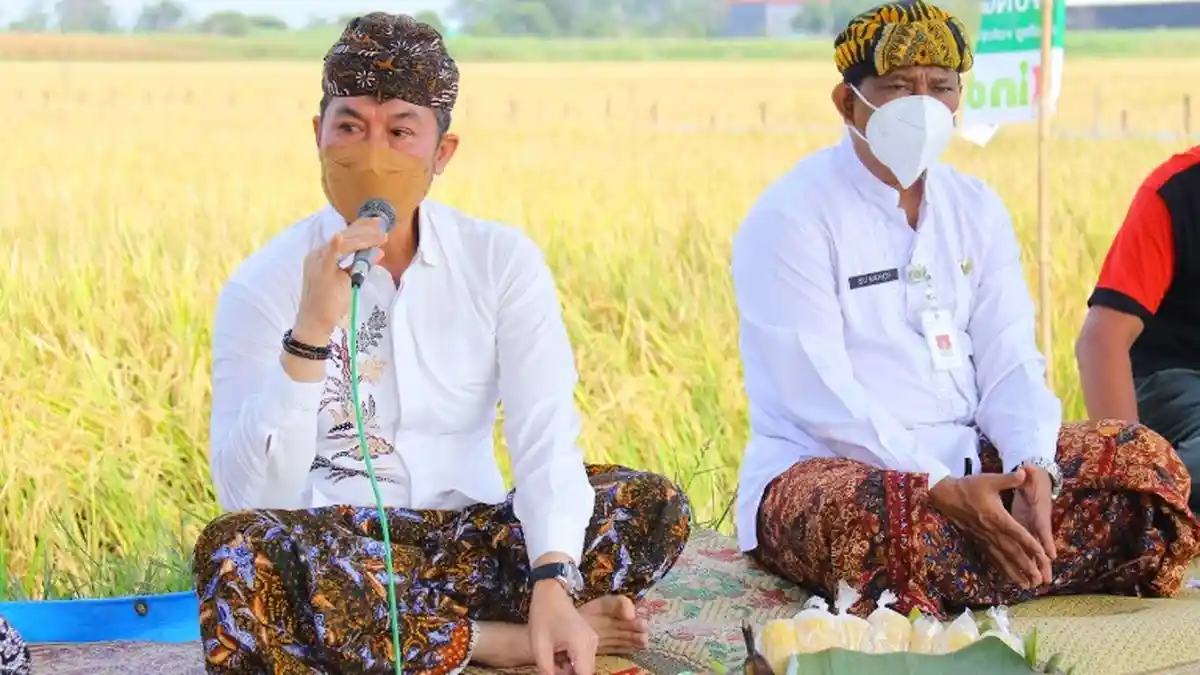 Jelang Musim Penghujan, 10 Ton Bibit Jagung Dibagikan Gratis Bagi Petani Kudus