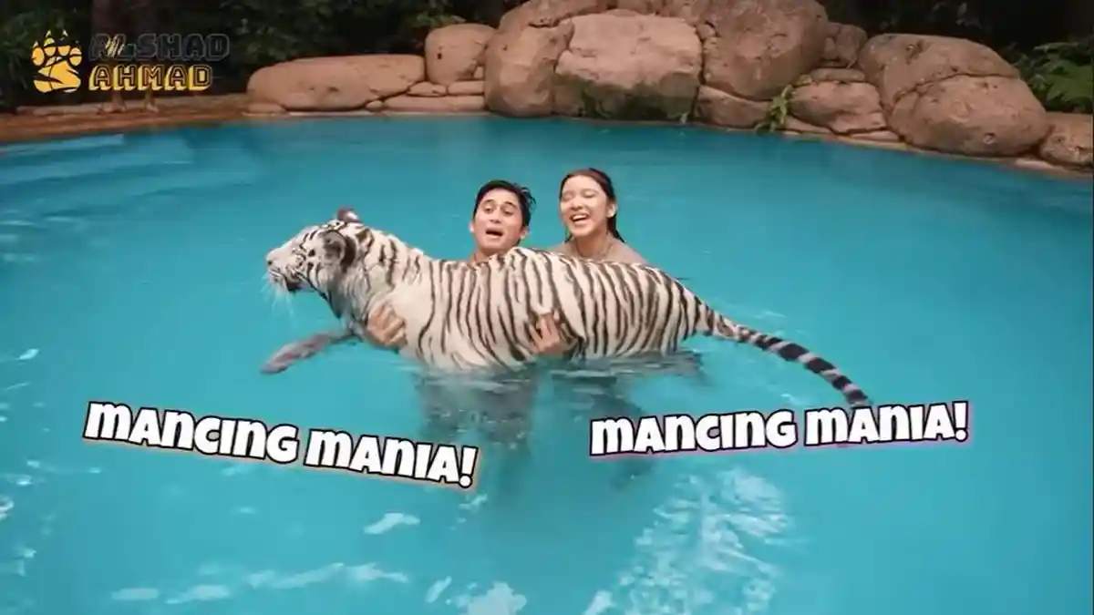 Tiara Andini Sempat Tergigit saat Main dengan Harimau, Alshad Ahmad: Kalau Baret Kelihatan