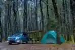 Penampilan Mobil SUV Subaru XV dan Forester