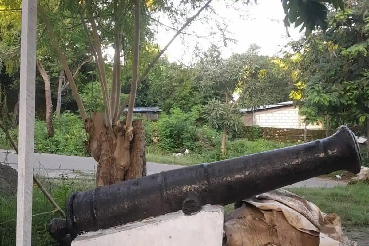 Kuliner Khas NTT,Bubur Sayor Kelor ato Sayur Marungga vs Telor Rebus, Ketu Daun Kelor Depan Ruma