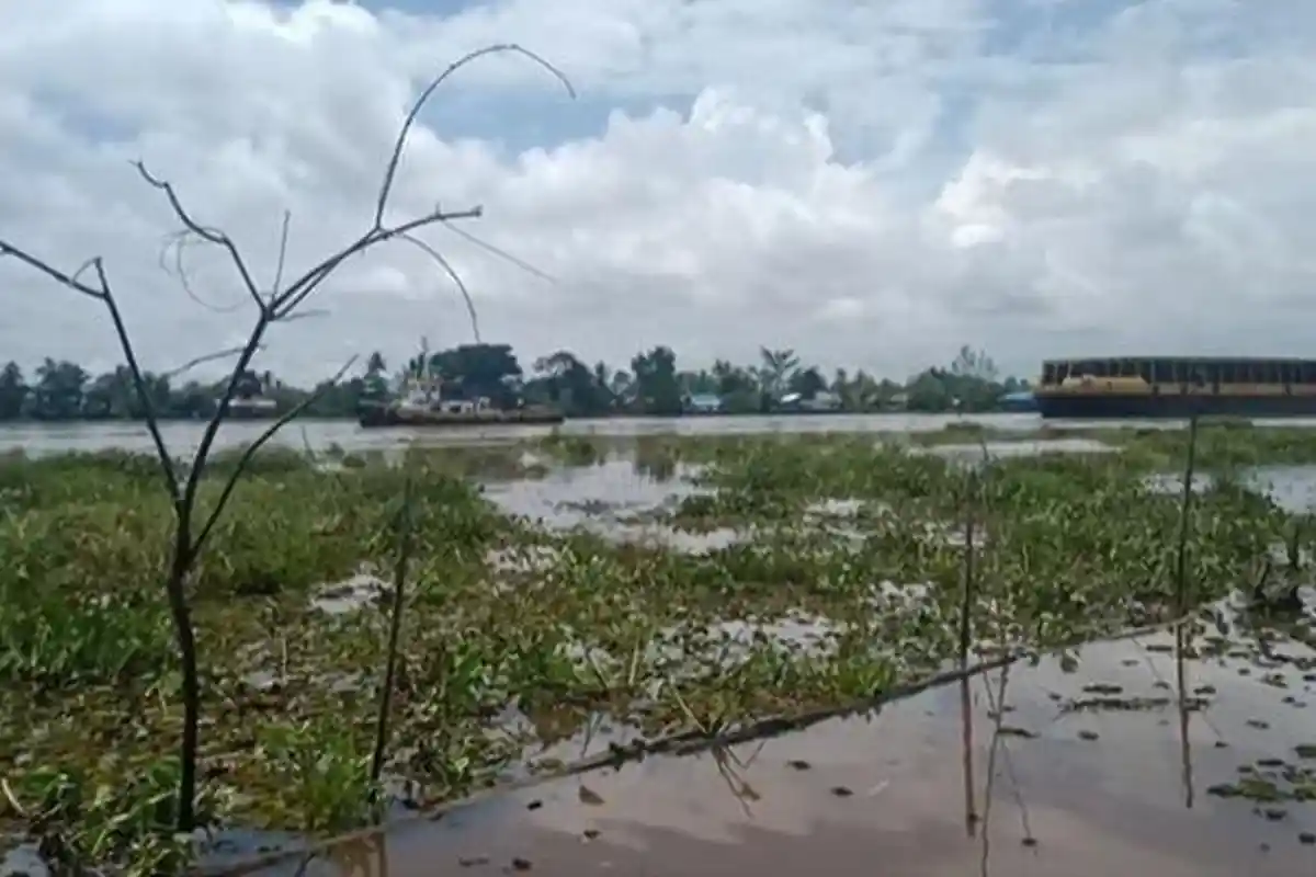 Wisata Kalsel - Melihat Kondisi Terkini Gusung Rumpiang di Kabupaten Barito Kuala