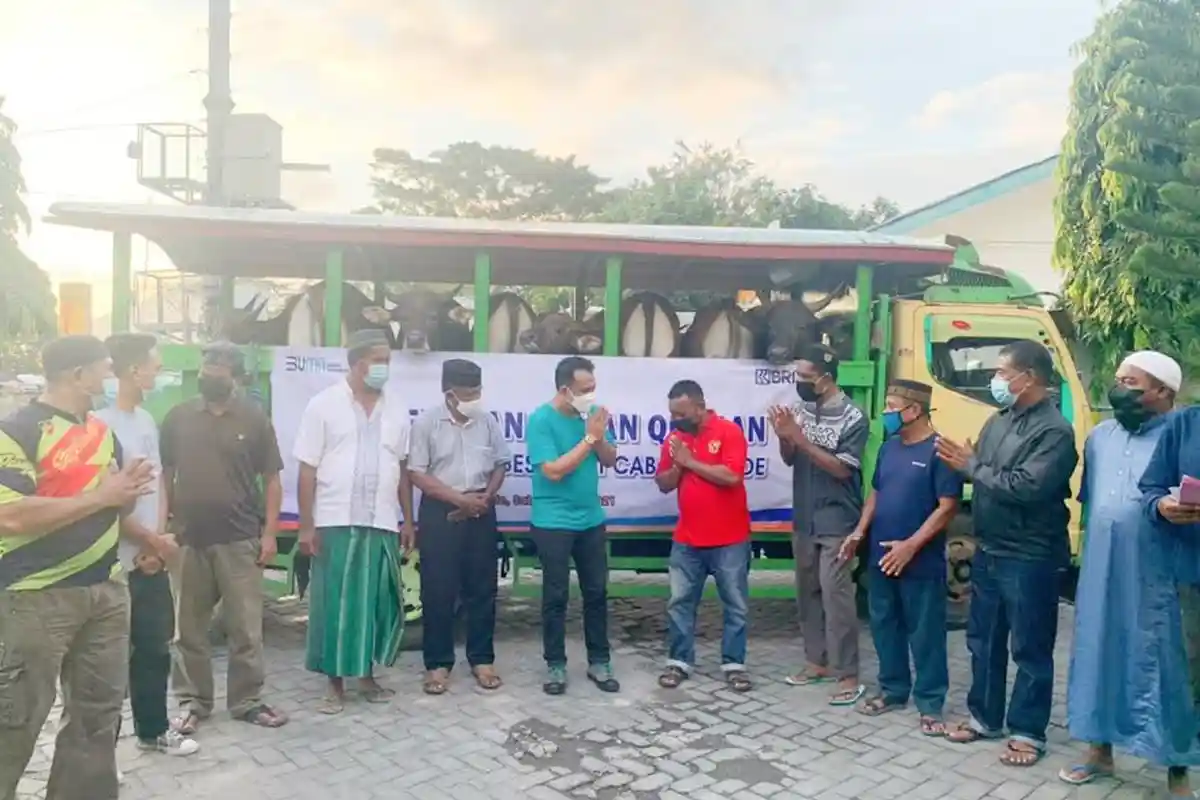 Sambut Idul Adha 1442 H,  BRI Kabupaten Ende Bagi Hewan Kurban