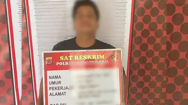Tribun