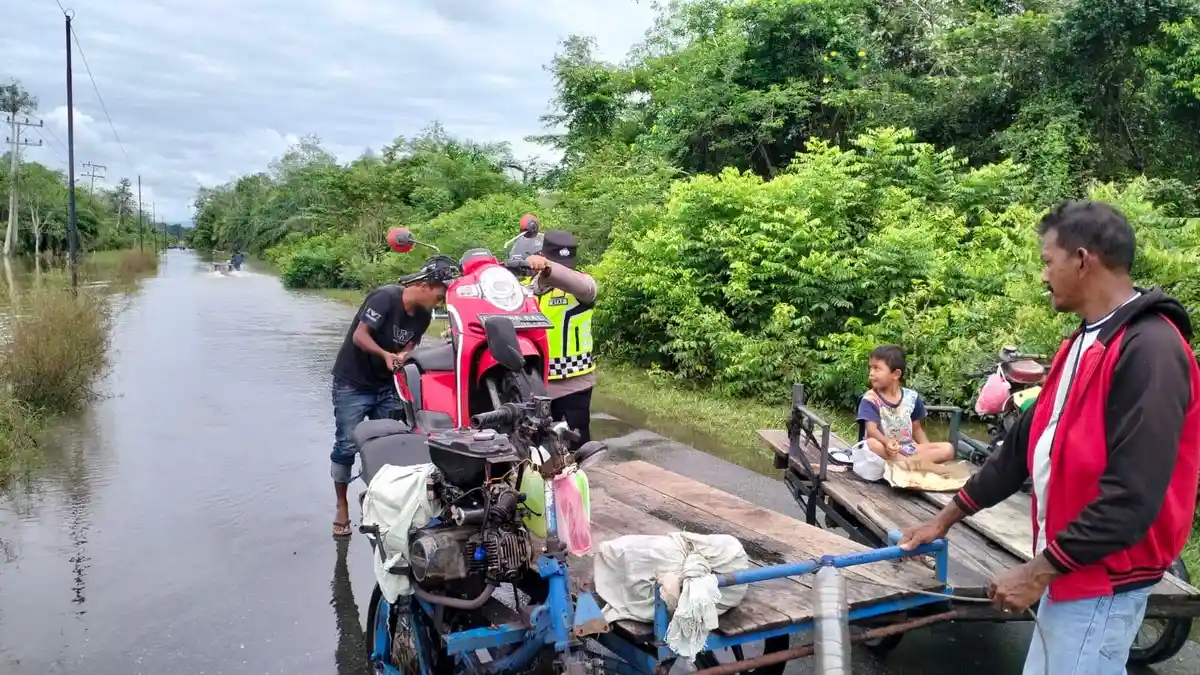 Banjir Masih Menutupi Ateung Teupat Lintas Meulaboh-Woyla