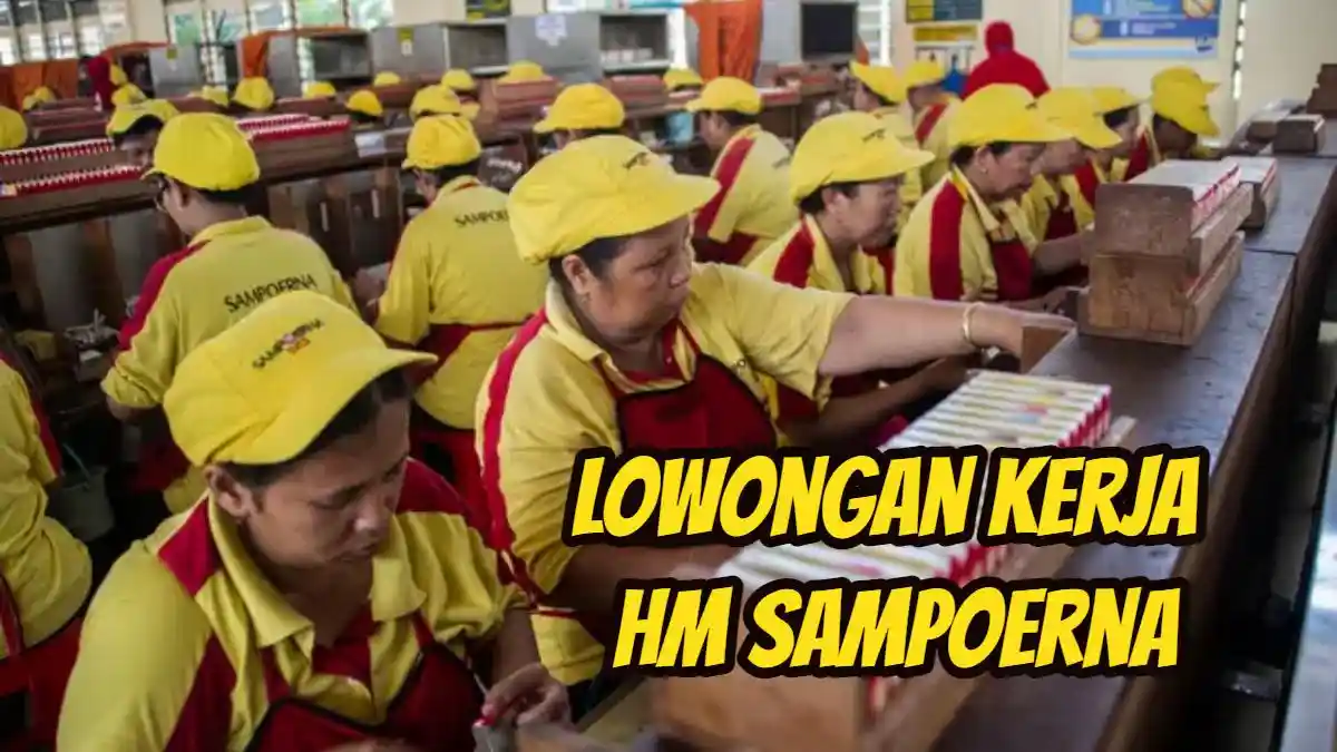 Kesempatan Emas Bagi Fresh Graduate, PT Hanjaya Mandala Sampoerna Buka Lowongan Kerja 2024