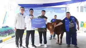 PNM-Bersyukur-dan-Berkurban-melakukan-penyerahan-dan-pemotongan-sapi-kurban.jpg