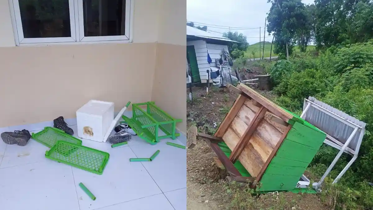 Perusahaan Sawit di Popayato Gorontalo Diserang, Diduga Oleh Warga Lokal