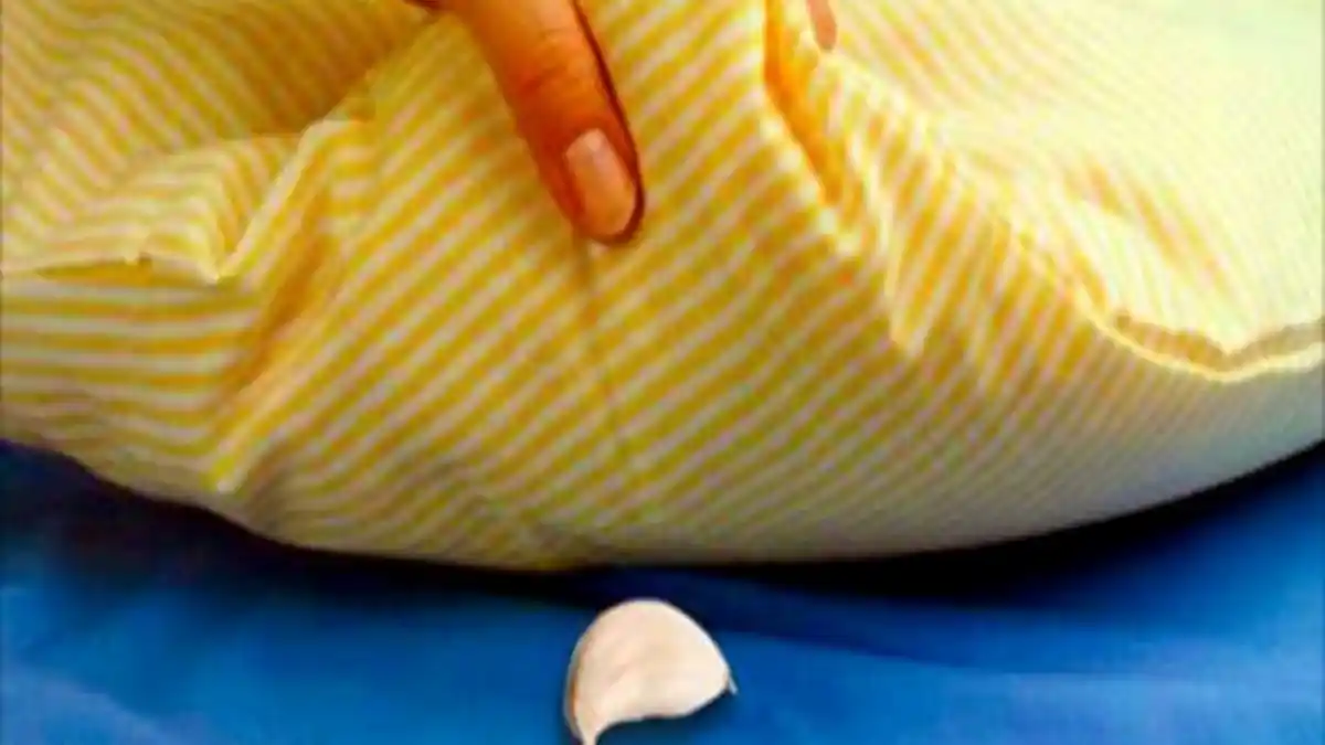 Manfaat Meletakkan Irisan Bawang Putih di Bawah Bantal Sebelum Tidur yang Perlu Kamu Ketahui