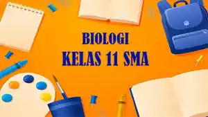 Berikut-soal-Biologi-kelas-11-SMA-Semester-2-Kurikulum-Merdeka.jpg