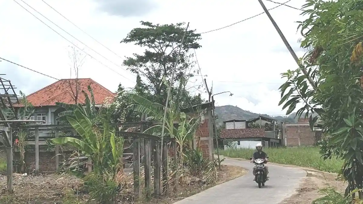 Tak Ada Tiang Permanen, 18 Tahun Jaringan Listrik ke Rumah Warga di Gondoharum Kudus Disangga Bambu