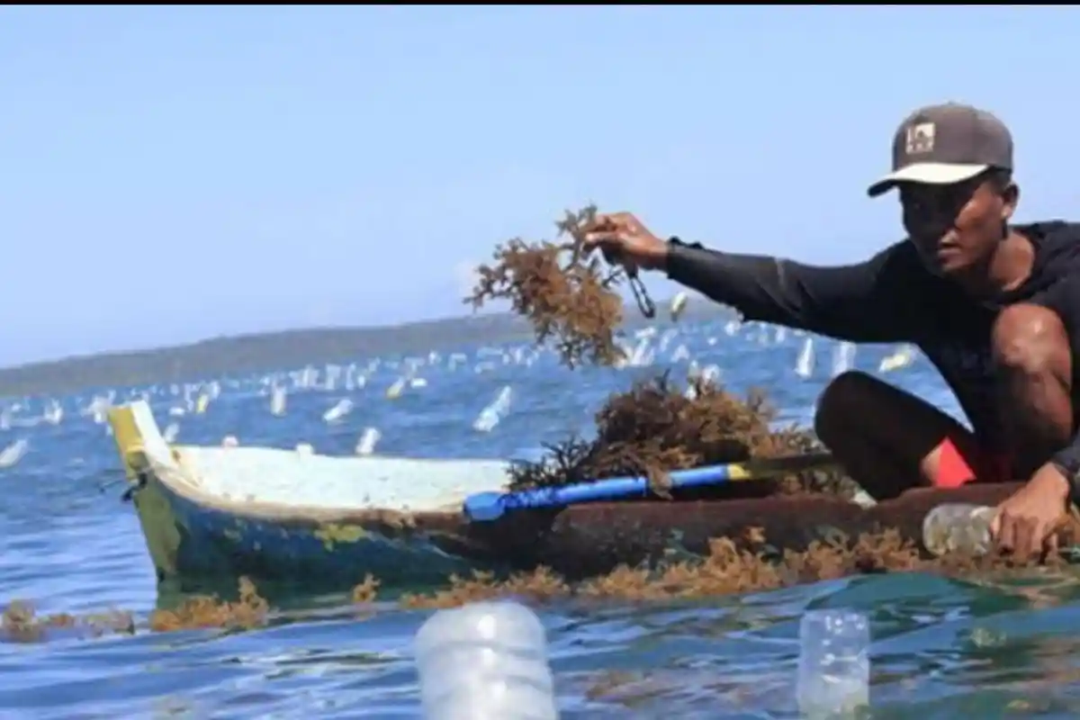 Masyarakat Sabu Raijua Resah, Marak Pengeboman Ikan di Wilayah Halla dan Ma'ne 