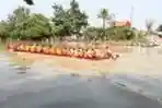Lomba Perahu Naga Perayaan Peh Cun Kali Cisadane Tangerang