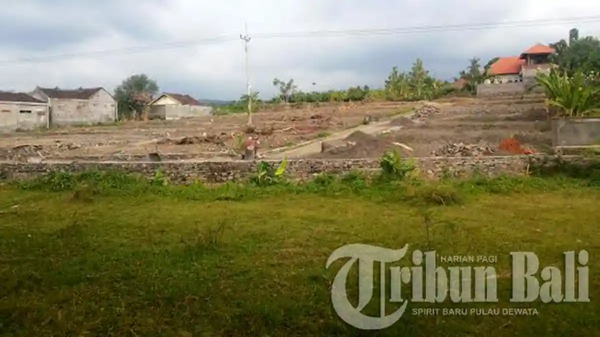 Alih Fungsi Lahan Pertanian Semakin Memprihatinkan