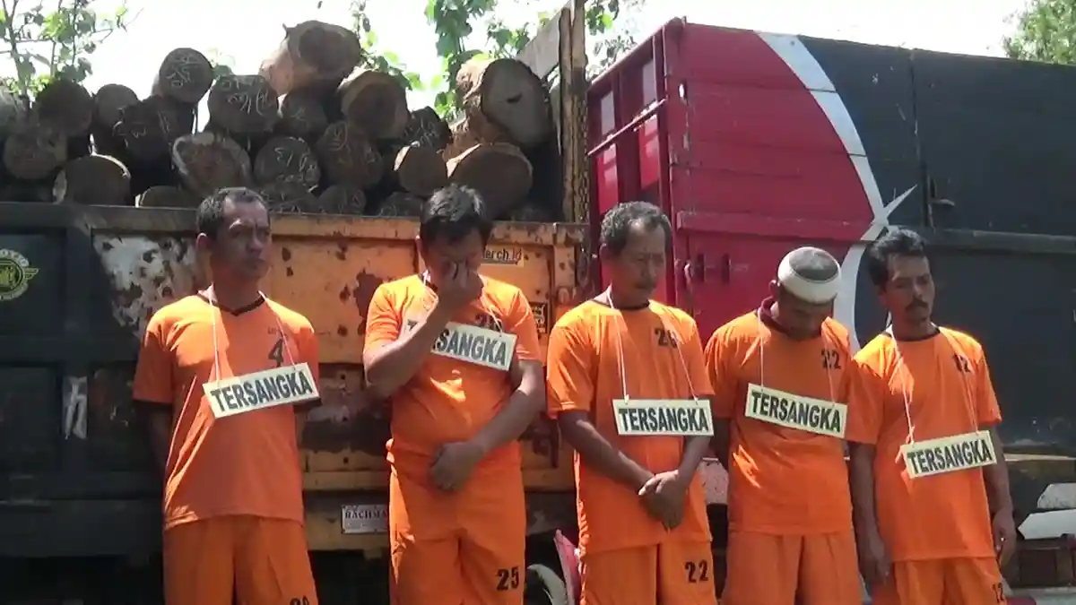 Polres Wonogiri Tangkap 5 Pelaku Ilegal Logging, Enam Lainnya Masih Buron