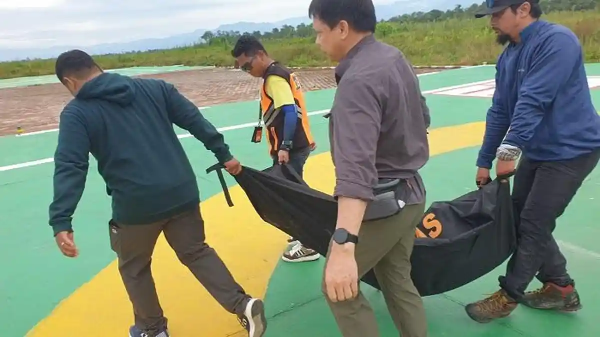 Tragedi di Puncak Cartenz Pyramid, Dua Pendaki WNI Meninggal Dunia Akibat AMS, 2 Selamat