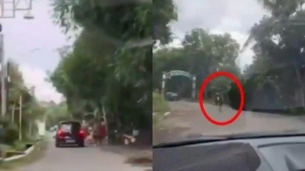 VIRAL Wisatawan Syok Dilempar Sandal Gara-gara Ogah Bayar Pungli ke Warga, Jalur ke Wisata Curam