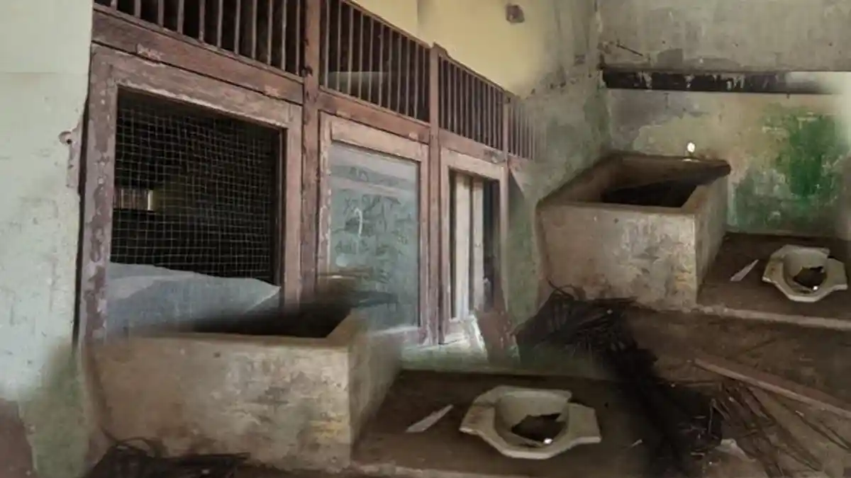 Pemkab Abai? SDN 06 Sawah Sambas Rusak Parah, Guru dan Siswa Belajar dengan Rasa Takut Setiap Hari