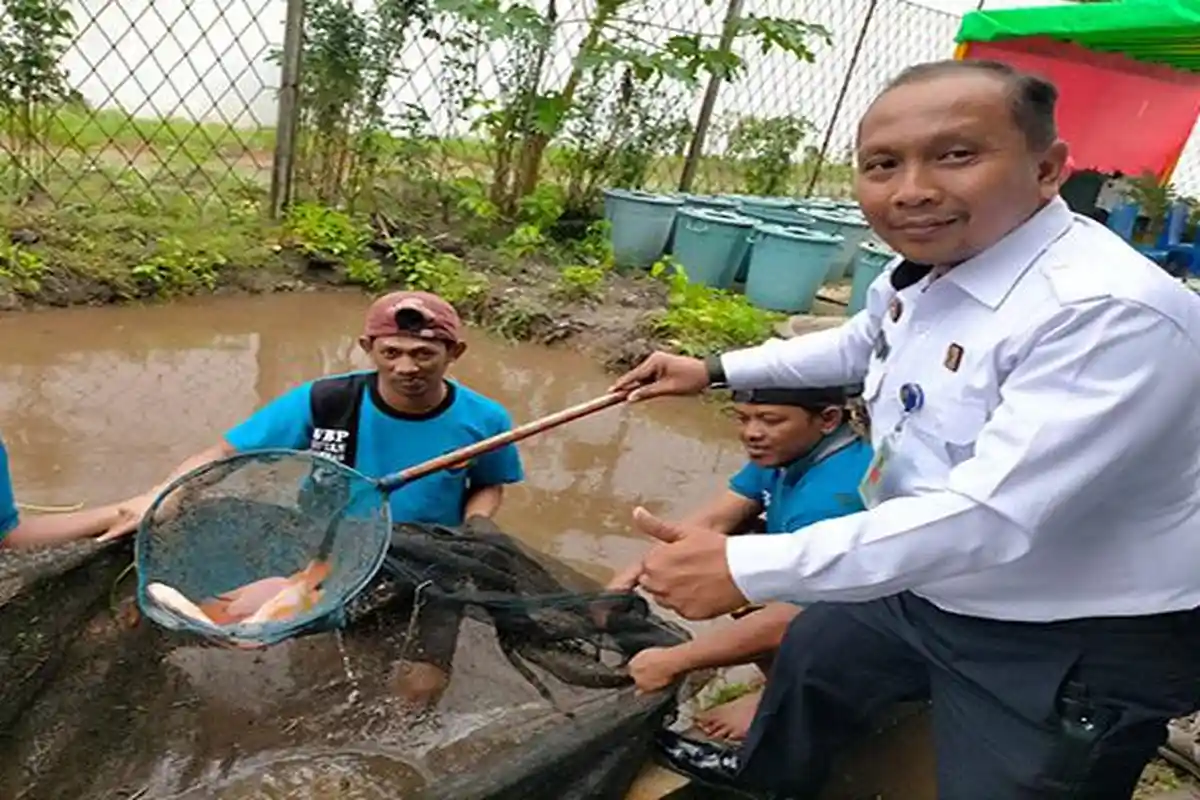 Kelompok Budidaya Ikan Warga Binaan Rutan Sambas Panen 65 Kg Ikan Nila