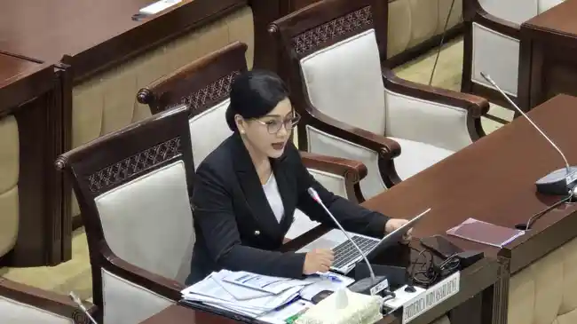 Friderica Widyasari Dewi Resmi Terpilih Sebagai Ketua Dewan Komisioner OJK
