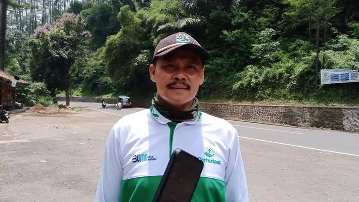 Mudik Melalui Cadas Pangeran Sumedang Harus Waspada, Ratusan Pohon Rawan Tumbang Belum Dipangkas