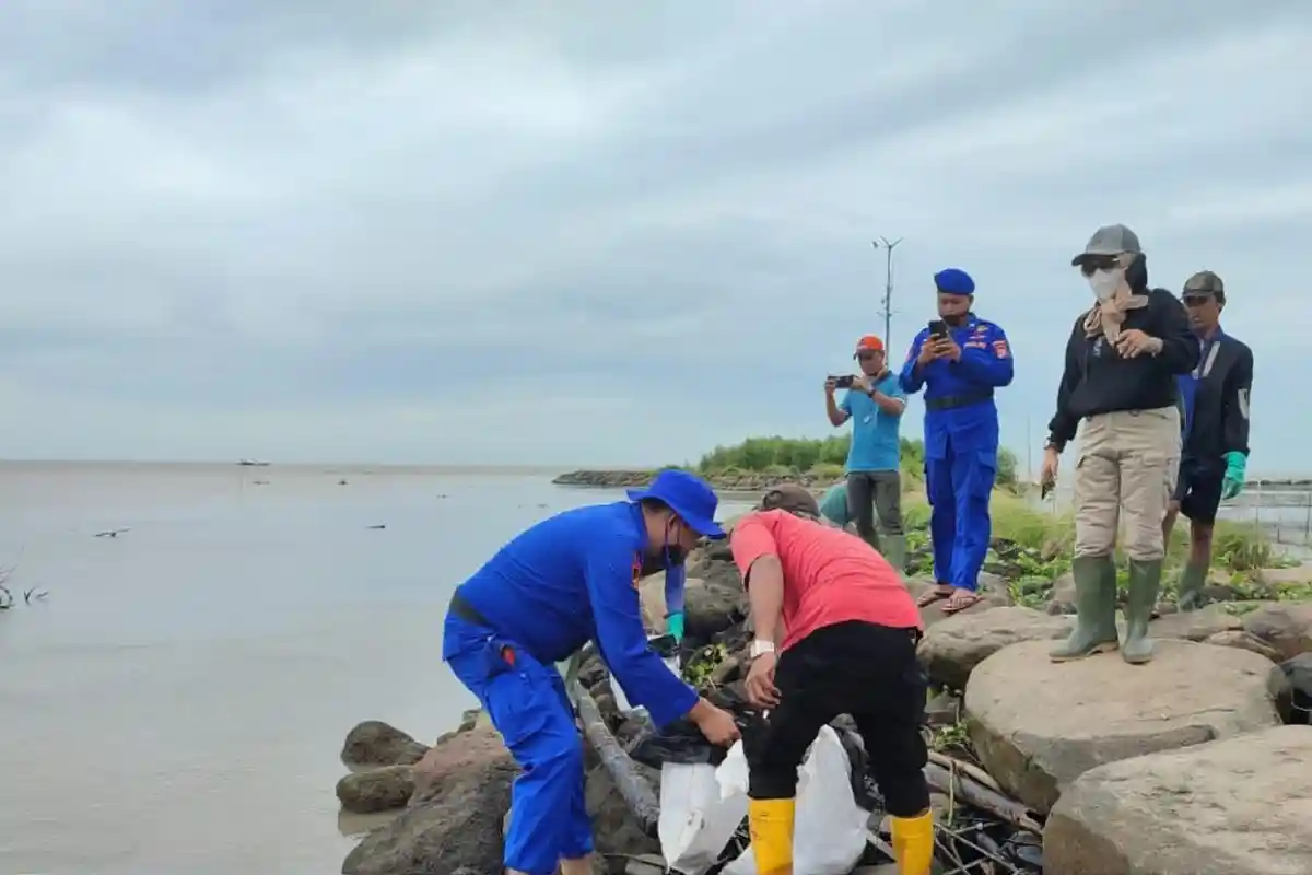 Enam Titik di Pesisir Pantai Lampung Timur Diduga Tercemar Limbah Minyak  