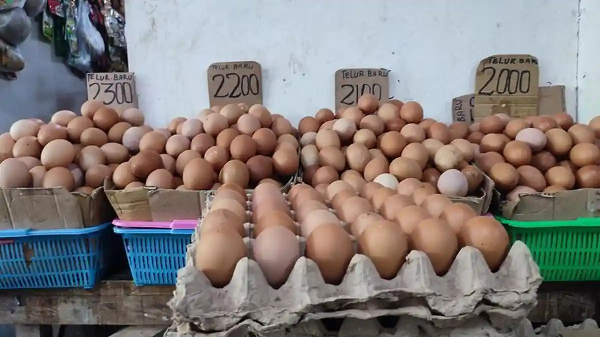 Pedagang Mengeluh Harga Telur Ayam Tembus Rp 68 ribu per Baki di Pasar Bersehati Manado